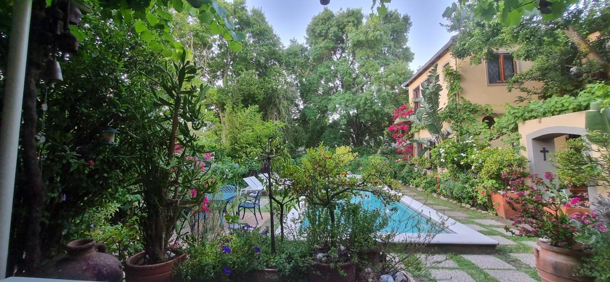 10 Alexander B&B Stellenbosch Buitenkant foto