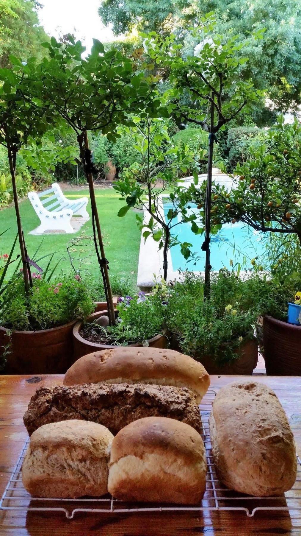 10 Alexander B&B Stellenbosch Buitenkant foto