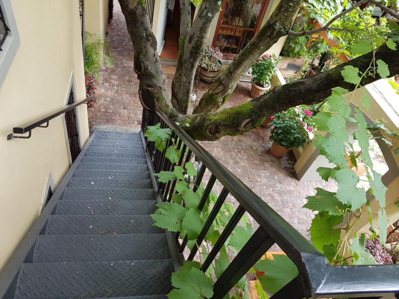 10 Alexander B&B Stellenbosch Buitenkant foto